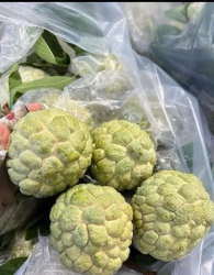 Mai 13 em về trái cây thờ cúng khách nha tại Quảng Nam