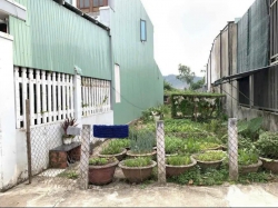 Bán Lô Đất 116m2 Đường Ô tô 5m Hoàng Văn Thái tại Quảng Nam