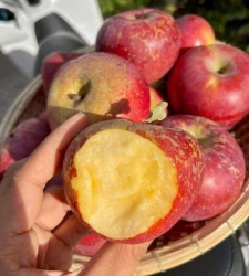 Menu món ngon khách gộp đơn món mai e giao lun nha tại Quảng Nam