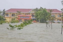 Hãy đọc bài này tại Quảng Nam