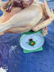 Làm xong 2 kg-2, 2 kg lòng mề đầy đủ tại Quảng Nam