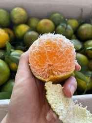 Danh sách mặt hàng đang bán tại Quảng Nam
