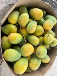 u tại Quảng Nam