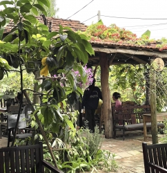 Soul Village - Hồn Quê Cafe tại Quảng Nam