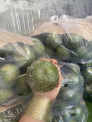 Cam đỉnh dữ ri trời, ni ngọt mới đời nha, vỏ mỏng loé luôn nha tại Quảng Nam