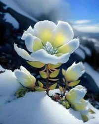 n đất Bình Tú Thăng bỉnh, Quảng Nam tại Quảng Nam