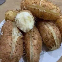 Mưa mưa ni mẩn vài củ khoai từ ăn nhứt nách, mua dề hấp nấu canh ăn đều được nha tại Quảng Nam