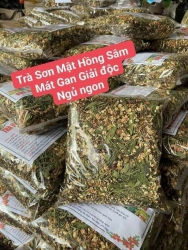 t Gan tại Quảng Nam