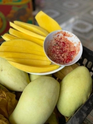 Vợt hàng xoài keo vàng cực ngon tại Quảng Nam