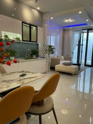 Cau Rong Nha Moi Don Tet Dành cho khách nhanh nhất tại Quảng Nam