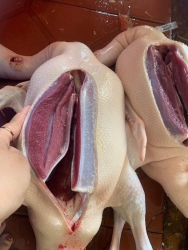  sản phẩm cần thanh lý tại Quảng Nam