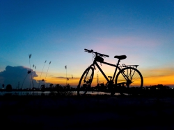 n nhanh lỗ tại Quảng Nam