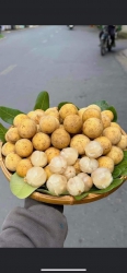 Hàng về sẵn, Em mời khách tại Quảng Nam