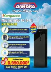 Bán hoa tulip chất lượng cao tại Quảng Nam