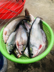 Bán nhà đẹp tại trung tâm thành phố tại Quảng Nam