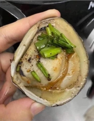 Chào buổi sáng tại Quảng Nam
