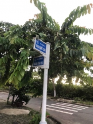 Bán dãy trọ cấp 4 lô góc 2 mặt tiền đường 7m5 Kha Vạn Cân Hoà Châu Phạm Hùng tại Quảng Nam