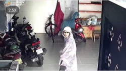 Bài Đăng Cho Thuê Mặt Bằng và Xe Đạp Điện Mới Nhất tại Quảng Nam