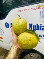 Món ngon vườn lão Nhất tại Quảng Nam