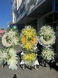 Shop hoa Tươi Hoàng Vy tại Quảng Nam