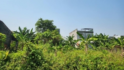 n lô đất cạnh Khu TDC Gò Lăng, Hòa Nhơn, Đà Nẵng tại Quảng Nam