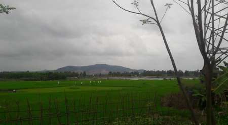 Cần tiền trả nợ ngân hàng, bán nhanh lô đất diện tích 400m2 (10×40) đường bê tông rộng 4m tại Quảng Nam