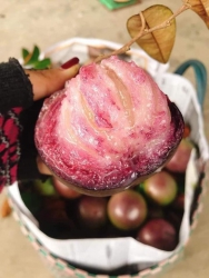 Menu món ngon thứ 5 tại Quảng Nam