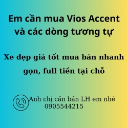 Em cần mua Vios, Accent hoặc các dòng xe tương tự tại Quảng Nam