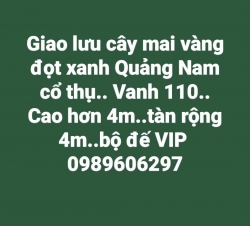 Giá thanh lý cho ai cần tại Quảng Nam