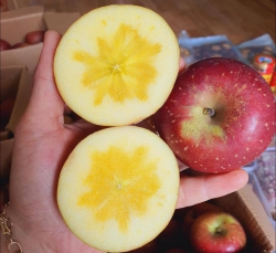 Sản phẩm đa dạng đặc sản tại Quảng Nam