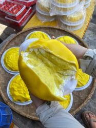 E dang ship con 2 xanh, 2 vang Banh Crepe Sau Rieng sieu ngon tại Quảng Nam