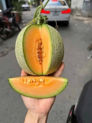 dự án tại Quảng Nam