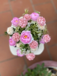 Mấy mẫu này mấy hôm nay được các cô mua nhiều nhất tại Quảng Nam