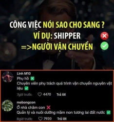 Bán Gỗ Sồi Chất Lượng Cao tại Quảng Nam
