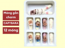 Bộ 12 móng tay dán Capybara đính charm dễ thương kèm keo dán tại Quảng Nam