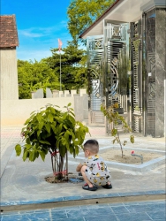 Hãy chăm sóc không gian cưới với nội thất đẹp và sành điệu tại Quảng Nam