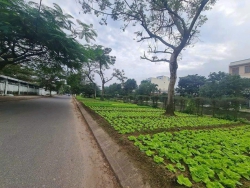 n nhà 3 tầng 3 mê đúc view kênh mặt tiền tại Quảng Nam
