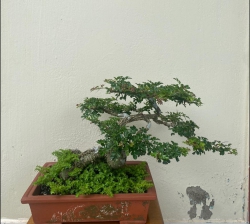 n đất ở Duy Tân, Duy Xuyên, Quảng Nam tại Quảng Nam