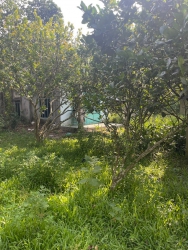 Bán lô đất vườn đẹp tại xã Hòa Bắc rộng gần tại Quảng Nam