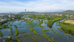 Mặt tiền đường Nội Bộ KDC Mỹ Khê Angkora Tịnh Khê, giá 1 tỷ 3xx triệu tại Quảng Nam