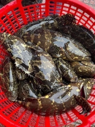  tại Quảng Nam