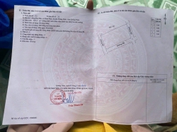 Cần tiền cần bán lô cây hàng năm Bình Phục tại Quảng Nam