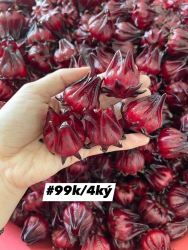 Bán k đủ số ship từ 2ký tại Quảng Nam