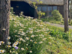 n 5 lô đất vị trí đẹp P. An Mỹ - Tp. Tam Kỳ tại Quảng Nam