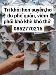 Con Tác Kế Bay Trị Khỏi Hen Suyễn Và Hen Phế Quản hiếm có khó tìm chuyên trị tại Quảng Nam