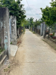  rẻ tại Quảng Nam