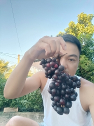 Nho rừng tự nhiên tại Quảng Nam