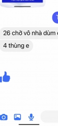 ch xẻ đầu 5 tại Quảng Nam