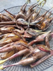 Mai các làng - Bán cà chua cuối mùa tại Quảng Nam