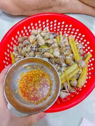 Bán ốc nhảy sống TO tại Quảng Nam
